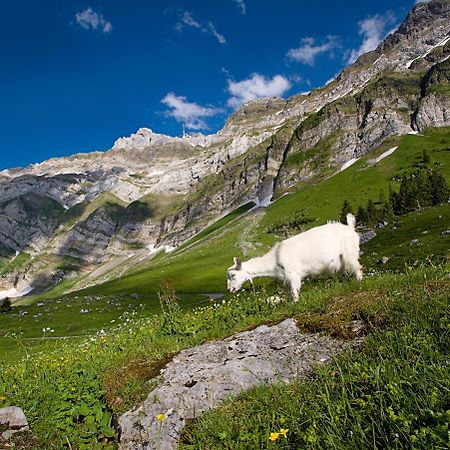 Saentis - Das Hotel Швагальп Экстерьер фото