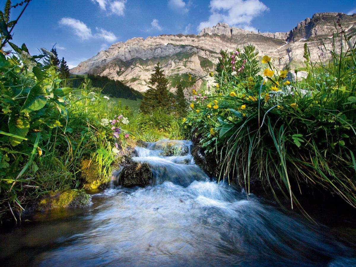 Saentis - Das Hotel Швагальп Экстерьер фото