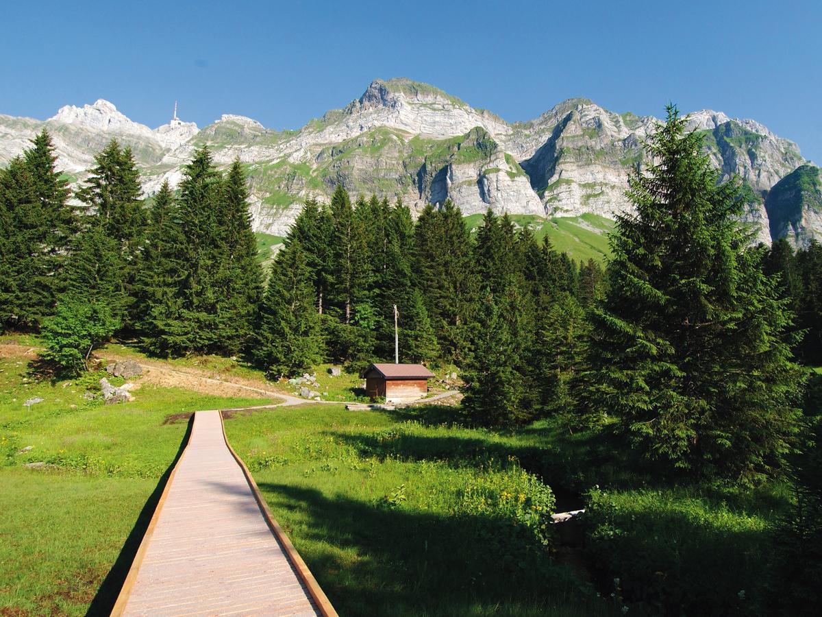 Saentis - Das Hotel Швагальп Экстерьер фото