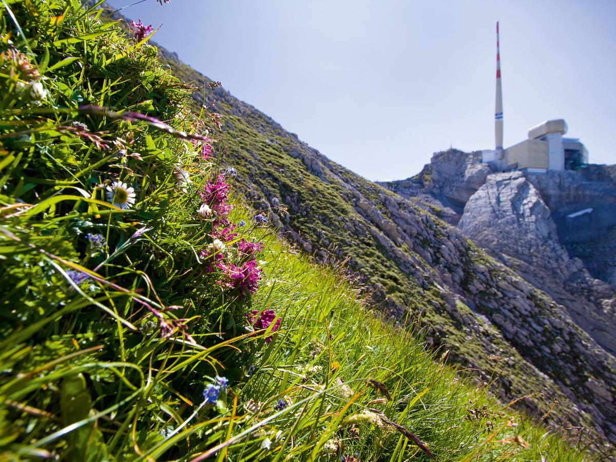 Saentis - Das Hotel Швагальп Экстерьер фото