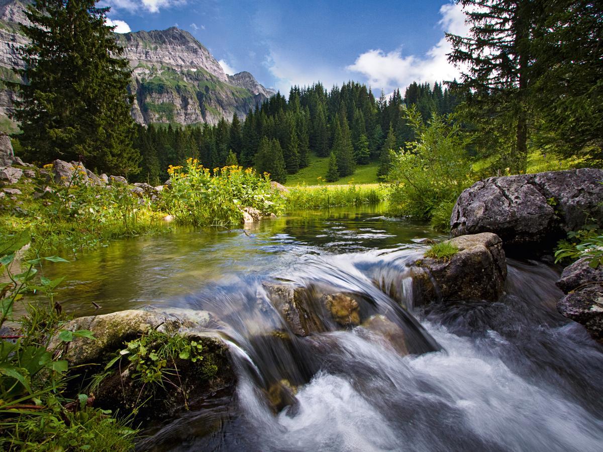 Saentis - Das Hotel Швагальп Экстерьер фото