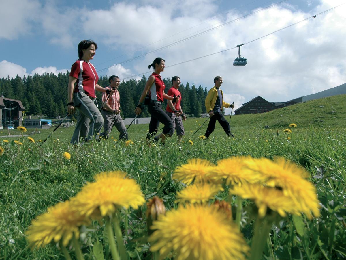 Saentis - Das Hotel Швагальп Экстерьер фото